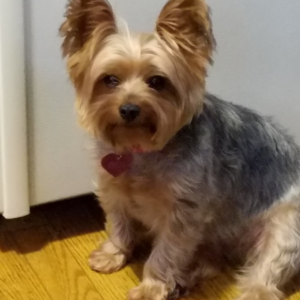 Meet your Posher, Deedee